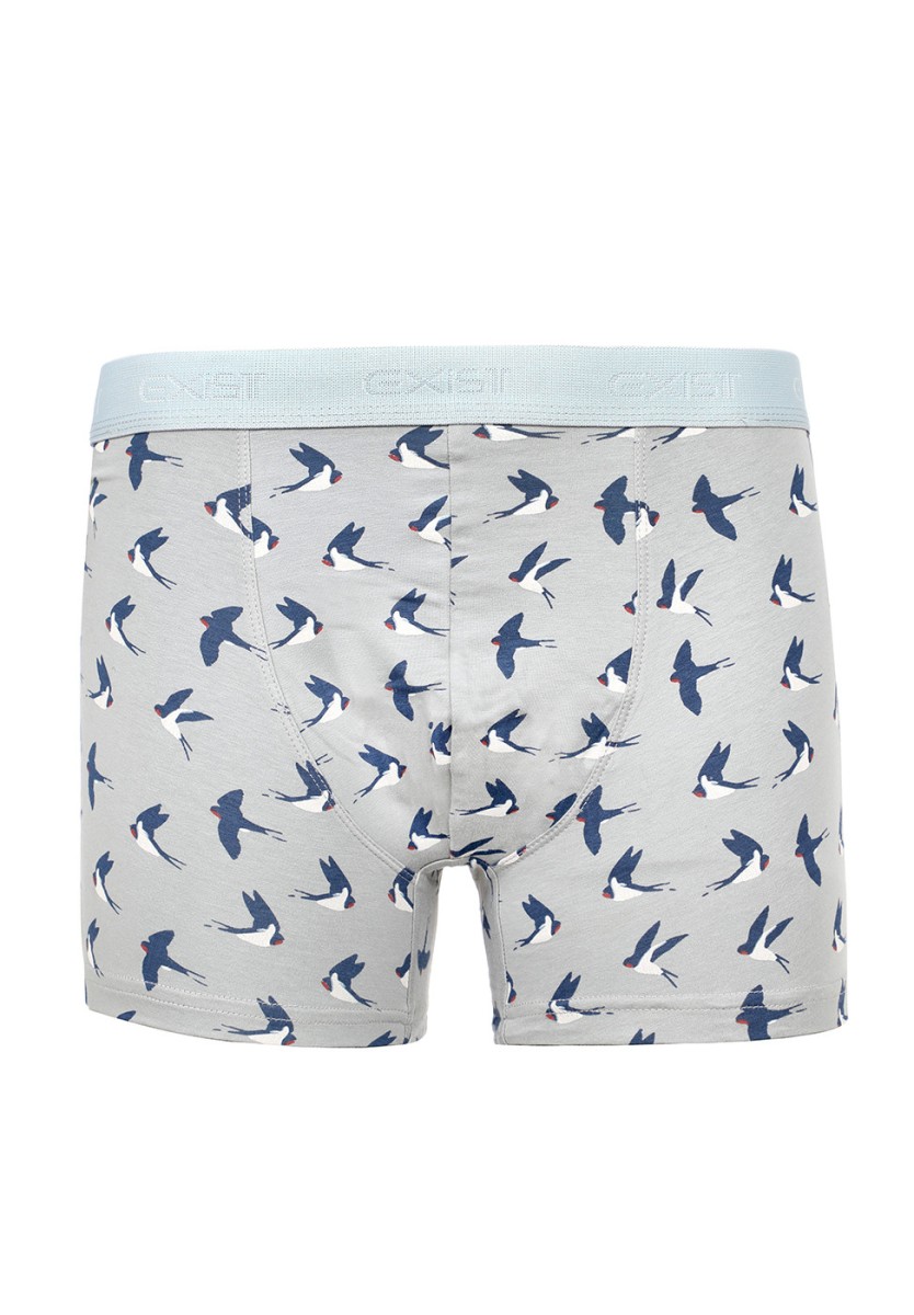 Boxer
