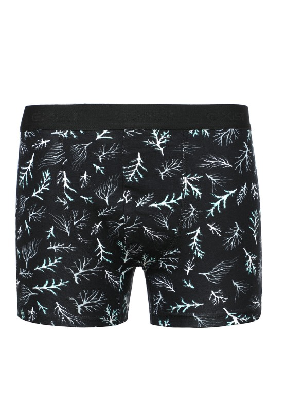 Ensemble de deux boxers