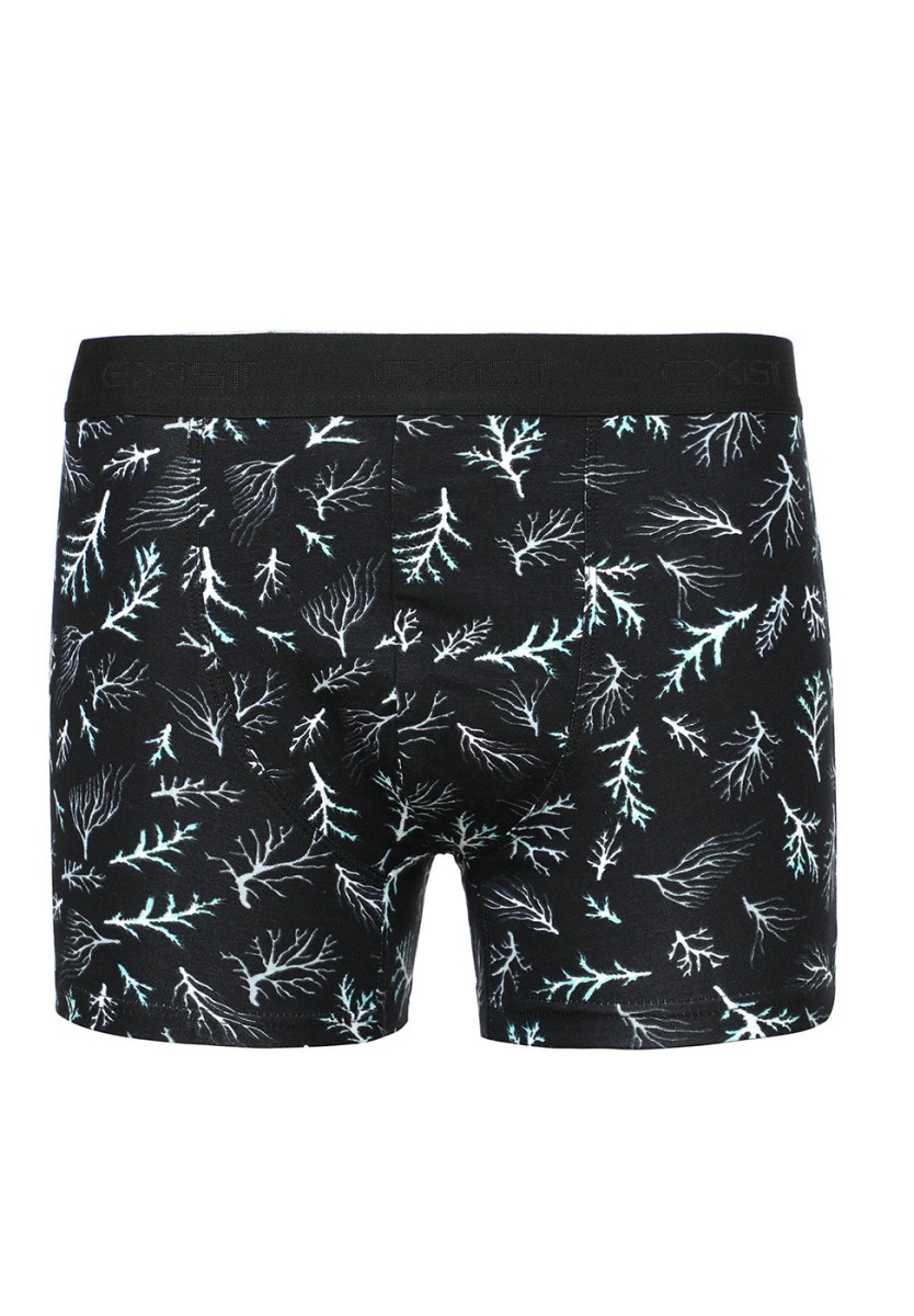 Ensemble de deux boxers