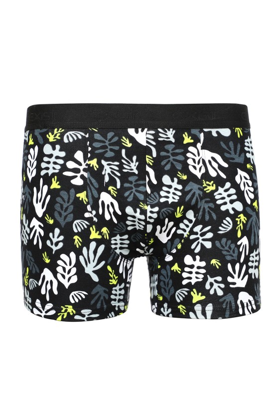 Ensemble de deux boxers