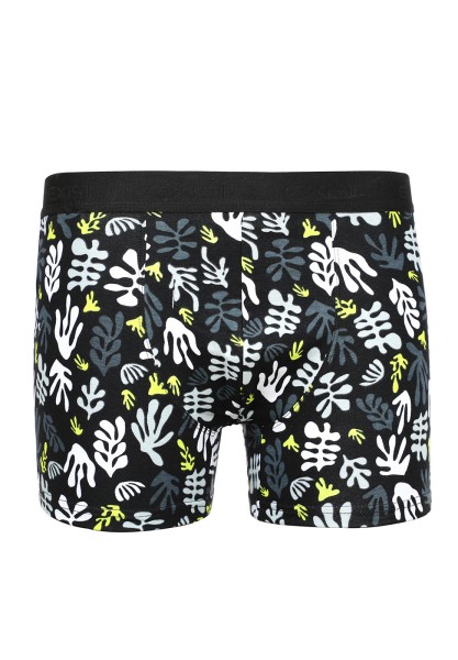 Ensemble de deux boxers